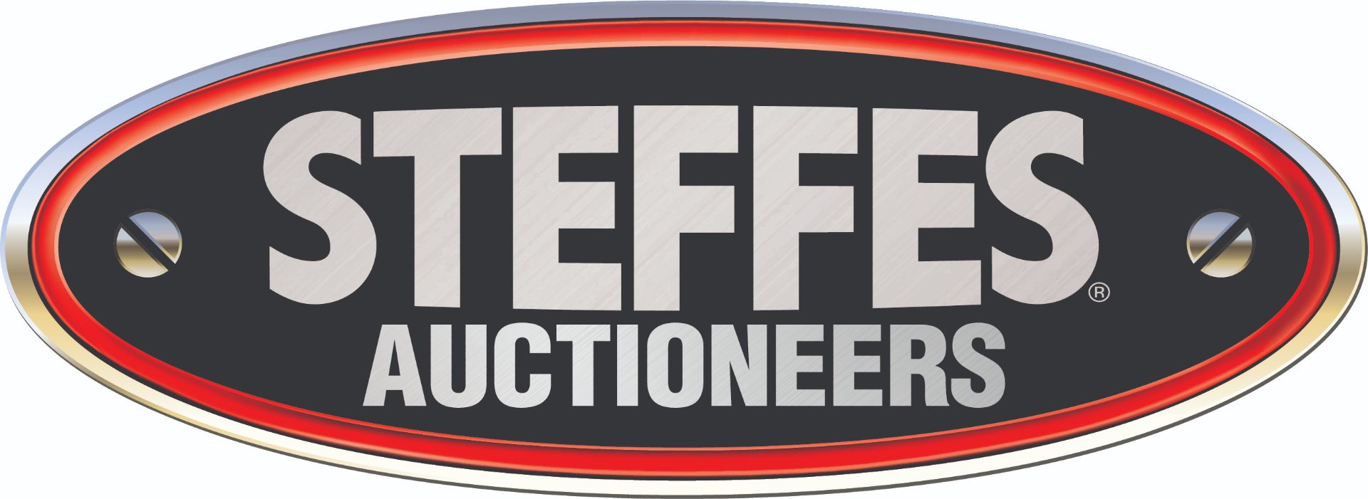 Steffes Group, Inc.